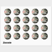 Sticker Rond Truite arc-en-ciel (Feuille)