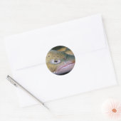 Sticker Rond truite Brown (Enveloppe)