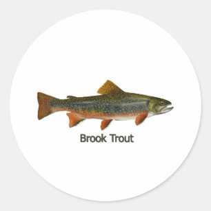 Sticker Rond Truite de ruisseau (titre)