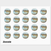 Sticker Rond Truite, ruisseau (Feuille)