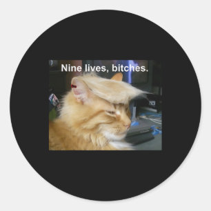Sticker Rond Trump Cat Nine vit drôle Trump 2024 Vote Électio