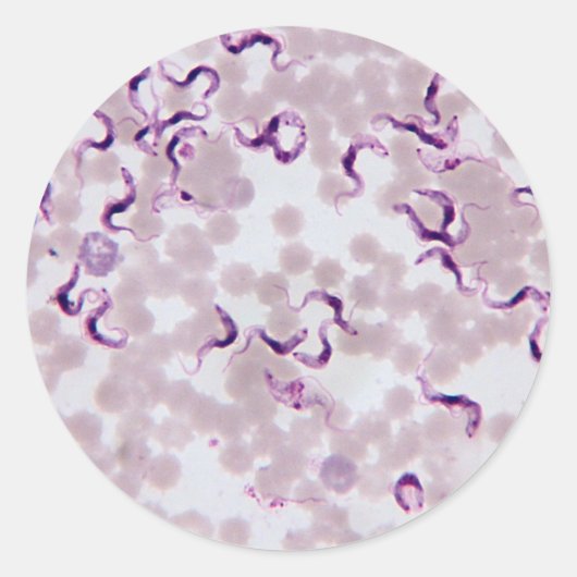 Sticker Rond Trypanosoma parasite sanguine (Devant)