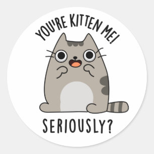 Sticker Rond Tu es Kitten Me Sérieusement Drôle Pun de chat