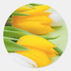 Sticker Rond Tuliforme jaune