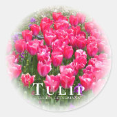 Sticker Rond Tulip (Devant)