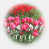 Sticker Rond Tulip (Devant)