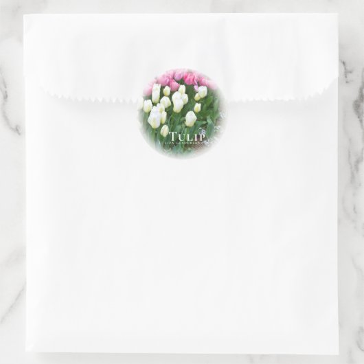 Sticker Rond Tulip (Sac)