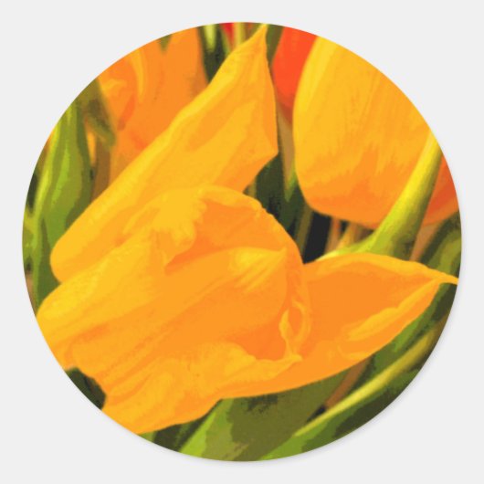 Sticker Rond Tulip (Devant)