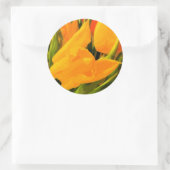 Sticker Rond Tulip (Sac)