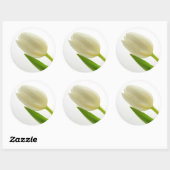 Sticker Rond Tulipe blanche (Feuille)