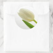 Sticker Rond Tulipe blanche (Sac)