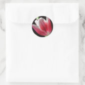 Sticker Rond Tulipe rose (Sac)