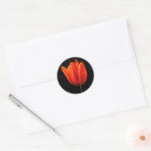 Sticker Rond TulipeOrange (Enveloppe)