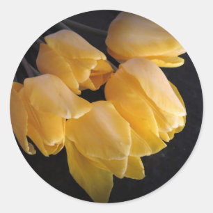 Sticker Rond "Tulipes jaunes avec un arrière - plan foncé "