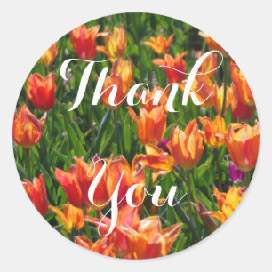 Sticker Rond Tulipes orange