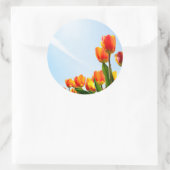 Sticker Rond Tulipes orange et rouge du dessous (Sac)