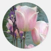 Sticker Rond Tulipes roses (Devant)