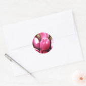 Sticker Rond Tulipes roses (Enveloppe)