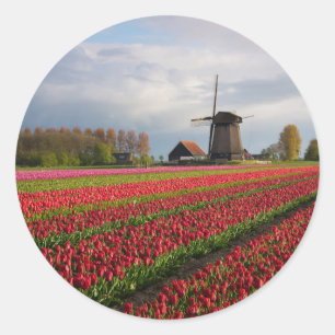 Sticker Rond Tulipes rouges et un moulin à vent