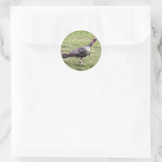 Sticker Rond Turquie sauvage (Sac)