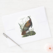 Sticker Rond Turquie sauvage, John Audubon (Enveloppe)