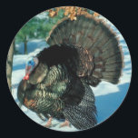 Sticker Rond Turquie sauvage Photo Thanksgiving Christmas Holid<br><div class="desc">Turquie sauvage Photo Thanksgiving Noël Noël Noël Noël Noël Noël Noël Noël Noël</div>