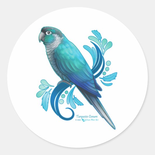 Sticker Rond Turquoise Conure (Devant)