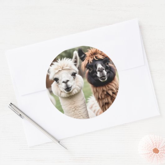 Sticker Rond Two Llamas (Enveloppe)