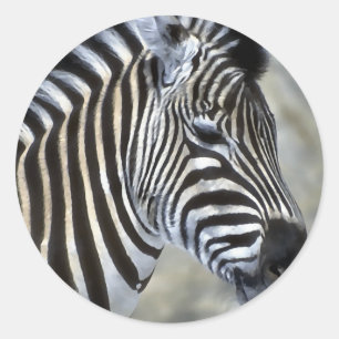 Sticker Rond Type de Zebras Lovers