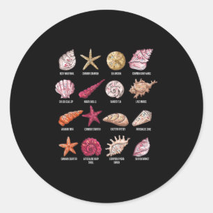 Sticker Rond Types De Coquillages Plage Bombardement Conque Mer