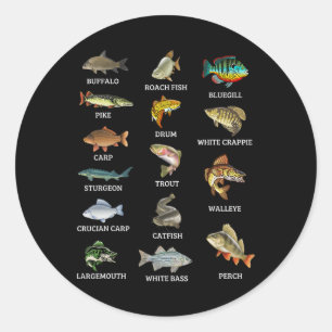 Sticker Rond Types de poissons d'eau douce Espèces de poissons