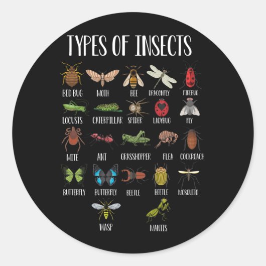 Sticker Rond Types D'Insectes Identification De Bogue (Devant)