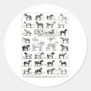 Sticker Rond Types vintages De Chevaux Cheval Élevage Horseback