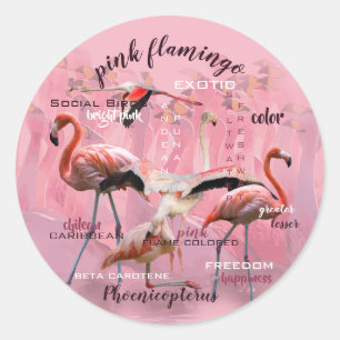 Sticker Rond Typographie du Flamant rose rose Customisé