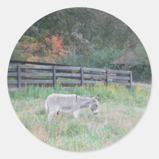 Sticker Rond Un âne dans un champ d'automne.