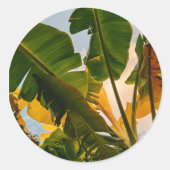 Sticker Rond Un aperçu des Maldives (Devant)