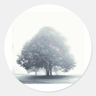 Sticker Rond Un arbre dans le brouillard