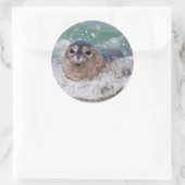 Sticker Rond Un bébé phoque surfant (Sac)