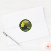Sticker Rond Un bel oiseau toucan perché sur une branche. (Enveloppe)