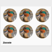 Sticker Rond Un canard Turquoise à ailes vertes chatté à l'étan (Feuille)