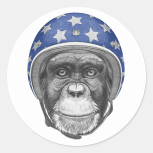 Sticker Rond Un cavalier de moto de chimpanzé