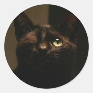 Sticker Rond Un chat aux yeux - Tom Sawyer