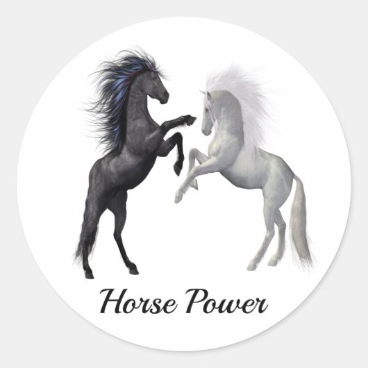 Sticker Rond Un cheval noir et blanc qui se bat (Devant)