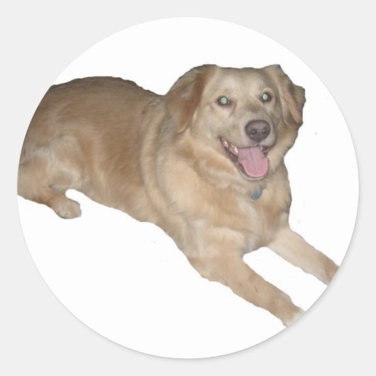Sticker Rond Un Chien Heureux ! (Devant)