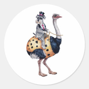 Sticker Rond Un chien schnauzer assis sur le dos d'une autruche