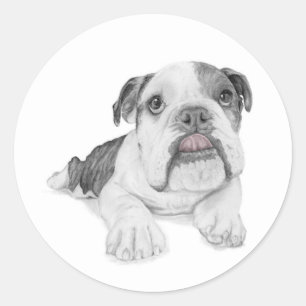 Sticker Rond Un chiot bouledogue impertinent