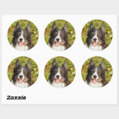 Sticker Rond Un Collie Bordure Très Amical (Feuille)