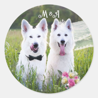 Sticker Rond Un couple romantique de chiens qui se marient
