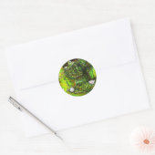 Sticker Rond Un étang avec des pensées impures (Enveloppe)