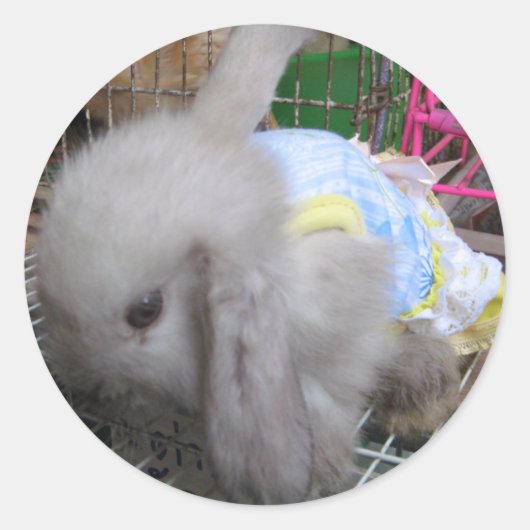 Sticker Rond Un lapin bébé Kawaii en robe (Devant)